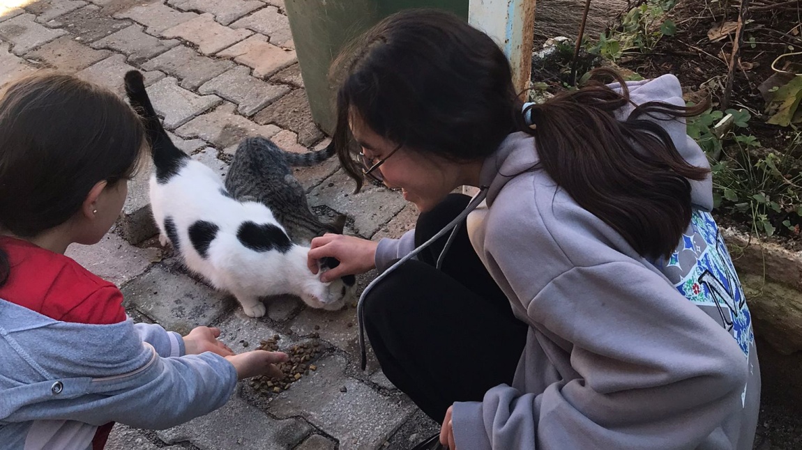 ÇEDES Projesi etkinliklerinde sokak hayvanlarını besledik